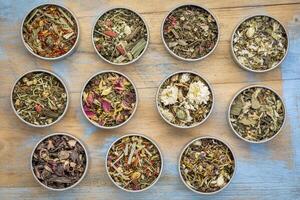 herbal blend tea collection photo