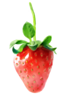 fraise peinte à la main aquarelle illustration png