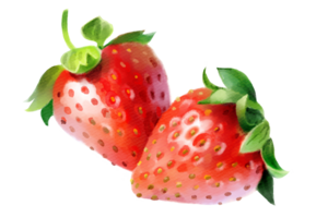 Strawberry hand-painted watercolor illustration png