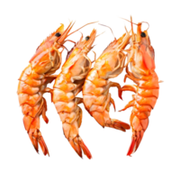 Roasted peeled prawn, Grilled shrimp isolated on transparent background, cut out, or clipping path. png