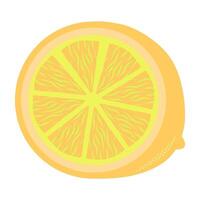 lemon slice illustration with orange color vector