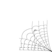 illustration of a spider web in the corner for your design decoration. cobweb illustration. vector