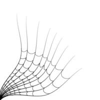 illustration of a spider web in the corner for your design decoration. cobweb illustration. vector