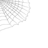 cobweb flat illustration for your horror design decoration. spider web illustration. vector