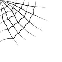 illustration of a spider web for your horror design decoration. cobweb illustration. vector