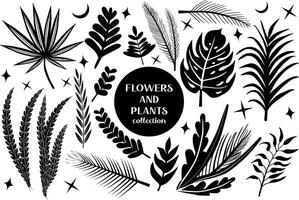 Set of black abstract flowers and leaves.botanical linocut plant and organic elements, herbs print. illustration vector