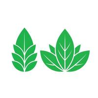 logo de hoja verde vector