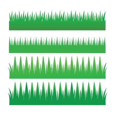 Green Grass Collection on a white background