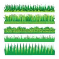 Green Grass Collection on a white background vector