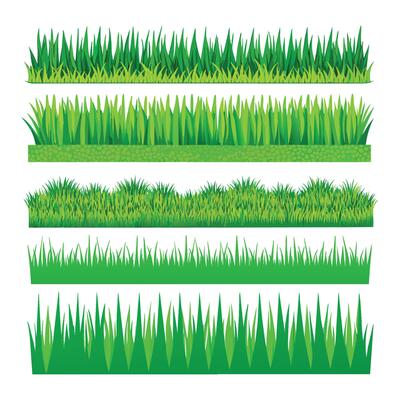 Green Grass Collection on a white background