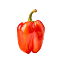 Red sweet bell pepper or capsicum isolated on transparent background png