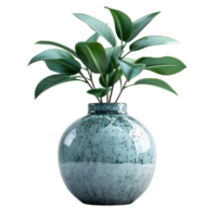 A pot with a spathiphyllum and sansevieria on a transparent background. png