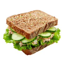 Sandwich senza sfondo, pane abbrustolito, no sfondo . png