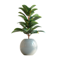 A pot with a spathiphyllum and sansevieria on a transparent background. png
