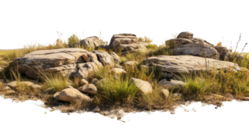 Savanna grass fields meadow with rocks png