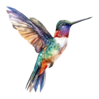 colibrí, pájaro ilustración. acuarela estilo. png