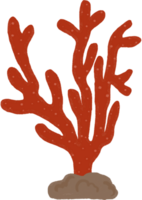 vermelho coral desenho animado clipart png