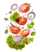 illustration of vegetables tomatoes onions lettuce floating png