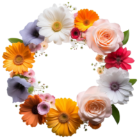 circle frame of various types of colorful flowers png