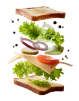 Delicious sandwiches with flying ingredients on transparent background png