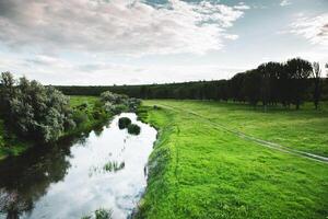 hermosa verano paisaje con verde árboles, verde prados en el banco de el río en república de Moldavia. foto
