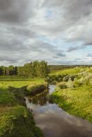 Beautiful summer landscape with green trees, green meadows on the bank of the river in Republic of Moldova. photo