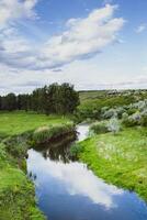 Beautiful summer landscape with green trees, green meadows on the bank of the river in Republic of Moldova. photo