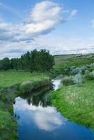 Beautiful summer landscape with green trees, green meadows on the bank of the river in Republic of Moldova. photo
