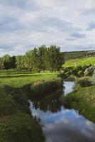 Beautiful summer landscape with green trees, green meadows on the bank of the river in Republic of Moldova. photo