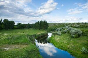 Beautiful summer landscape with green trees, green meadows on the bank of the river in Republic of Moldova. photo