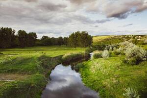 Beautiful summer landscape with green trees, green meadows on the bank of the river in Republic of Moldova. photo