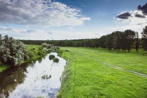 Beautiful summer landscape with green trees, green meadows on the bank of the river in Republic of Moldova. photo