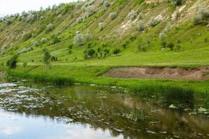 Beautiful summer landscape with green trees, green meadows on the bank of the river in Republic of Moldova. photo