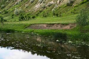 hermosa verano paisaje con verde árboles, verde prados en el banco de el río en república de Moldavia. foto