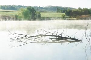 Very beautiful landscape with fog and green nature in the Republic of Moldova. Rural nature in Eastern Europe photo