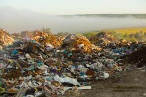 pila de basura en el bosque. el concepto de ambiental contaminación. foto