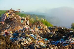 Pile of garbage in the forest. The concept of environmental pollution. photo