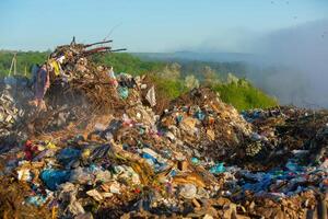 pila de basura en el bosque. el concepto de ambiental contaminación. foto