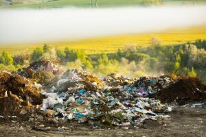 pila de basura en el bosque. el concepto de ambiental contaminación. foto