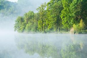 Very beautiful landscape with fog and green nature in the Republic of Moldova. Rural nature in Eastern Europe photo