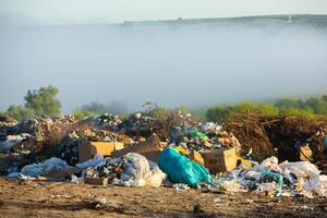 Pile of garbage in the forest. The concept of environmental pollution. photo