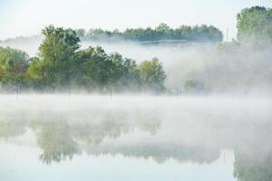 Very beautiful landscape with fog and green nature in the Republic of Moldova. Rural nature in Eastern Europe photo