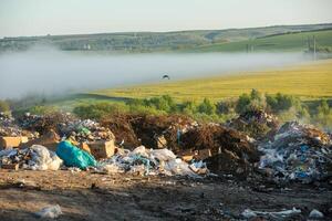 Pile of garbage in the forest. The concept of environmental pollution. photo