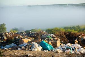 pila de basura en el bosque. el concepto de ambiental contaminación. foto