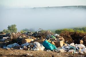 pila de basura en el bosque. el concepto de ambiental contaminación. foto