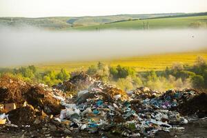 Pile of garbage in the forest. The concept of environmental pollution. photo