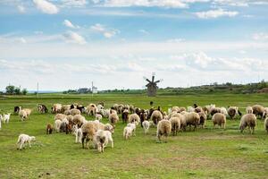 Landscape with beautiful nature in the village in the Republic of Moldova. Country life in Eastern Europe. photo