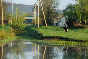 Landscape with beautiful nature in the village in the Republic of Moldova. Country life. Moldova, a small country with a big heart in Eastern Europe. photo