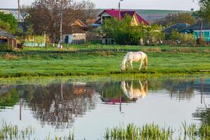 Landscape with beautiful nature in the village in the Republic of Moldova. Country life. Moldova, a small country with a big heart in Eastern Europe. photo