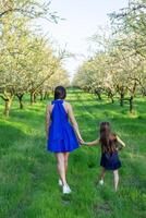 A happy family. Mother and daughter rest in the park in dresses photo